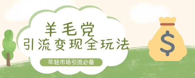 羊毛党引流变现全玩法，年轻市场引流必备-DE云网创