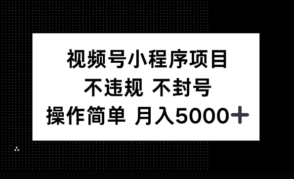 视频号小程序项目，不违规不封号，操作简单 月入5000+-DE云网创