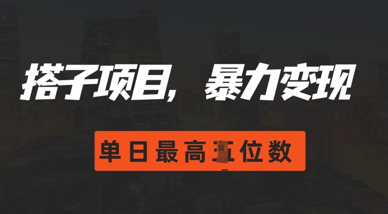 2024搭子玩法，0门槛，暴力变现，单日最高破四位数【揭秘】-DE云网创