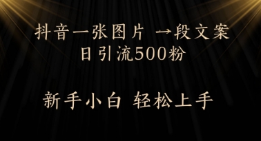每天2分钟，抖音一张图片 一段文案日引流500粉-DE云网创
