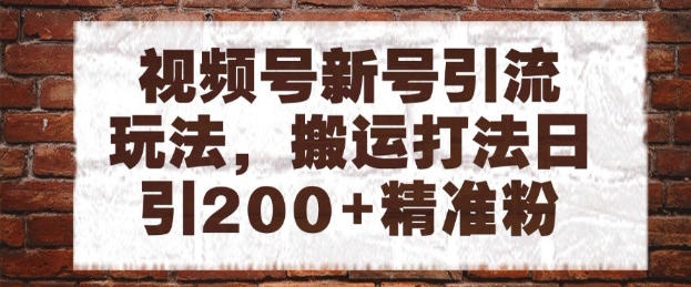 视频号新号引流玩法，搬运打法日引200+精准粉，可矩阵放大【揭秘】-DE云网创