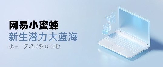 网易小蜜蜂，最新大蓝海项目，单日轻松日涨千粉-DE云网创