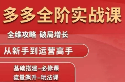 大炮·拼多多全阶实战课程(更新2026)插图