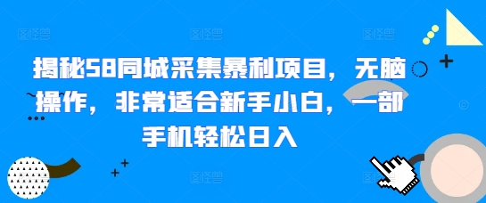 揭秘58同城采集暴利项目，无脑操作，非常适合新手小白，一部手机轻松日入-DE云网创