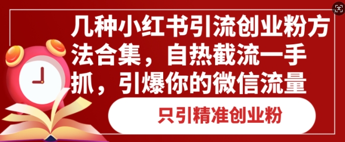 几种小红书引流创业粉方法合集，自热截流一手抓，引爆你的微信流量-DE云网创