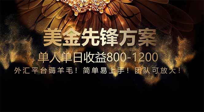 （14761期）免费技术！小众赛道！一年布局抵三年努力，每日800+-DE云网创