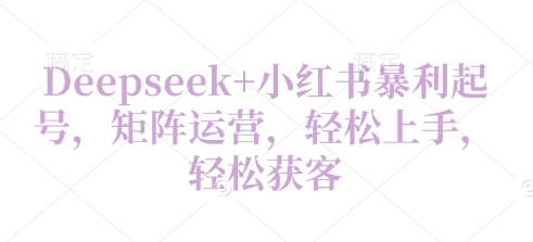 Deepseek+小红书暴利起号，矩阵运营，轻松上手，轻松获客-DE云网创