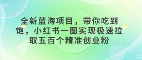 全新蓝海项目，带你吃到饱，小红书一图实现极速拉取五百个精准创业粉-DE云网创