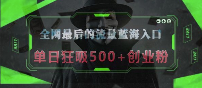 全网最后的流量蓝海入口，半小时引流50+创业粉，单日狂吸500+创业粉-DE云网创