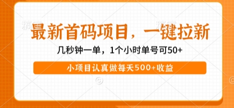 最新首码项目，操作最简单，收益高，一键拉新，1个小时单号可50+，小项目认真做每天5张+收益【揭秘】-DE云网创