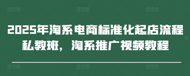 2025年淘系电商标准化起店流程私教班，淘系推广视频教程-DE云网创
