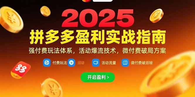 （15357期）拼多多盈利实战指南，强付费玩法，活动爆流技术，微付费破局方案(更新7月)-DE云网创