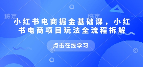 小红书电商掘金课，小红书电商项目玩法全流程拆解-DE云网创