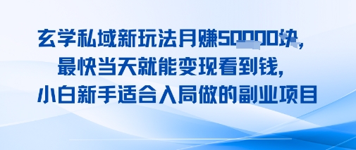 玄学私域新玩法月入1W+，最快当天就能变现看到米，小白新手适合入局做的副业项目-DE云网创