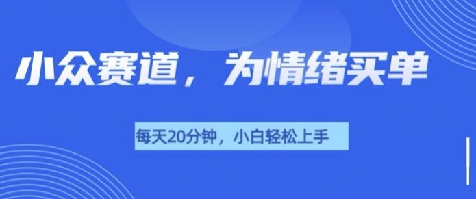 小众赛道，我的治愈系电子抱枕，让用户为情绪买单-DE云网创