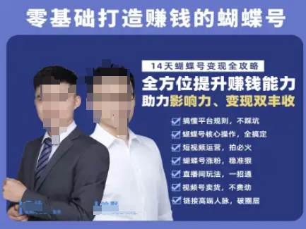 蝴蝶号专栏-视频号运营教程，零基础打造挣钱的蝴蝶号，14天蝴蝶号变现全攻略-DE云网创