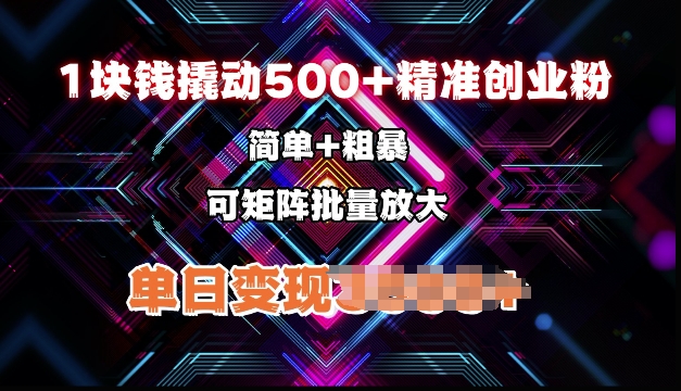 低价撬动500+精准创业粉，简单、粗暴、批量放大，单日变现多张-DE云网创