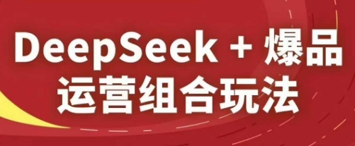 DeepSeek+爆品运营组合玩法，2025淘系精品课-DE云网创