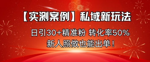 【实测案例】私域新玩法，日引30+精准粉，转化率50%，新人照做也能出单！-DE云网创