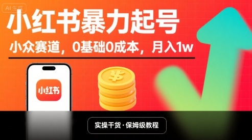 小红书暴力起号，小众赛道，0基础0成本，月入1w-DE云网创