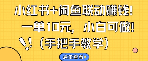 小红书+闲鱼联动挣钱，一单10元，小白可做-DE云网创