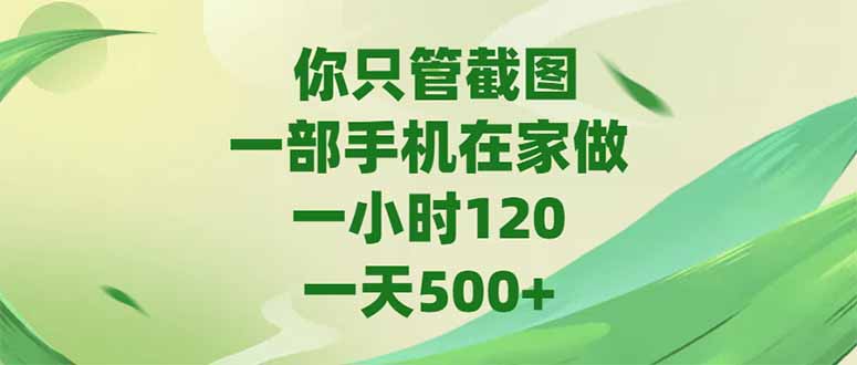 （15039期）你只管截图，一部手机在家做，一小时120，-天500+-DE云网创