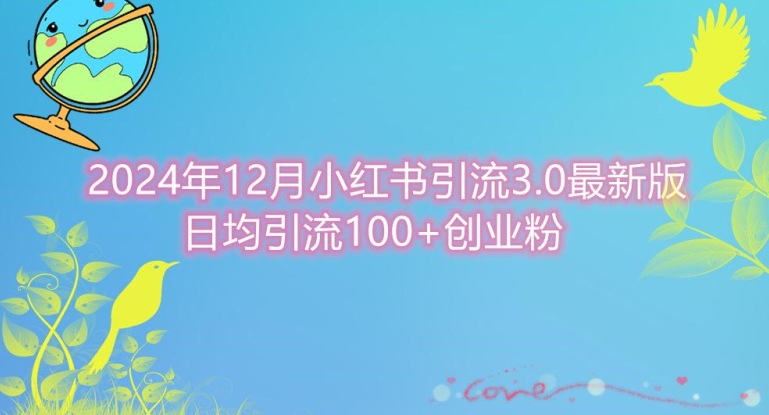 2024年12月小红书引流最新版，日均引流100+创业粉-DE云网创