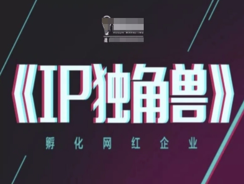 IP独角兽，孵化网红企业，ip教程-DE云网创