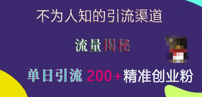 不为人知的引流渠道，流量揭秘，实测单日引流200+精准创业粉【揭秘】-DE云网创