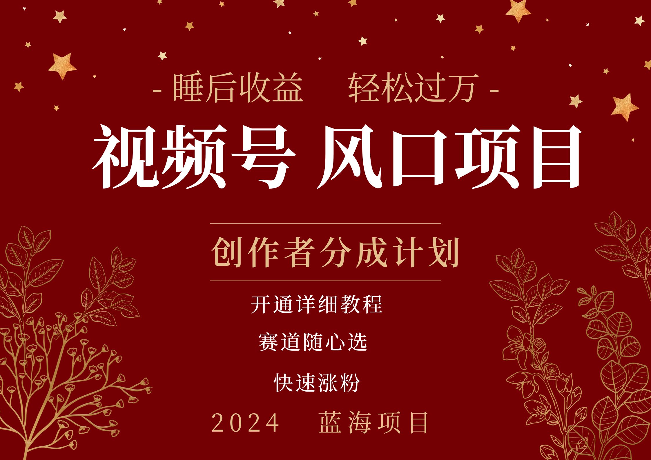 拥有睡眠收益的微信视频号大风口项目，轻松月入过万+，多赛道选择，可矩阵，玩法简单轻松上手-DE云网创