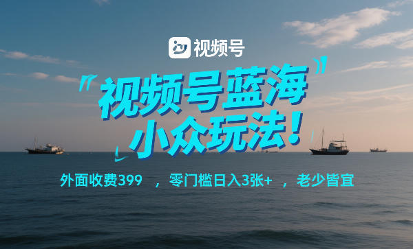 视频号蓝海小众玩法!外面收费399,零门槛日入3张+,老少皆宜-DE云网创