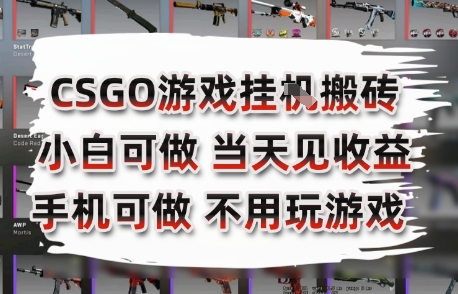 CSGO游戏挂G搬砖，小白纯手机即可操作，不用电脑打游戏，日入3张+，副业网创项目【揭秘】-DE云网创