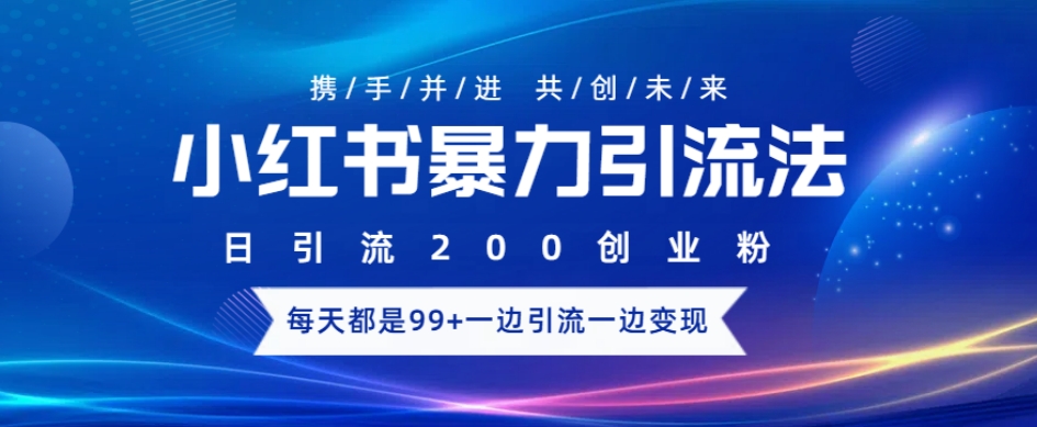 小红书暴力引流法，日引200精准创业粉，每天都是99+，边引流一边变现-DE云网创