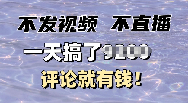 不发作品不直播，评论就有钱，一条最高10块，一天搞多张-DE云网创