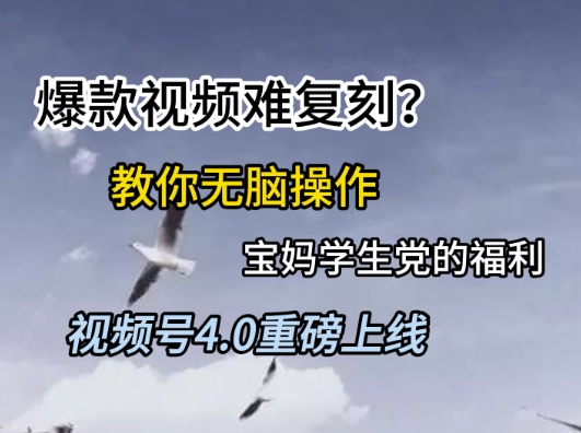 视频号4.0重磅上线，爆款视频难复刻？教你无脑操作宝妈学生党的福利【揭秘】-DE云网创