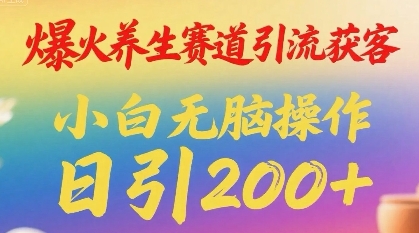 爆火养生赛道引流获客，小白无脑操作，日引200+-DE云网创