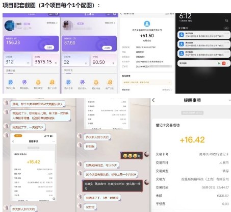 当天能收益的3个小项目拆解_包括平台+操作流程-DE云网创