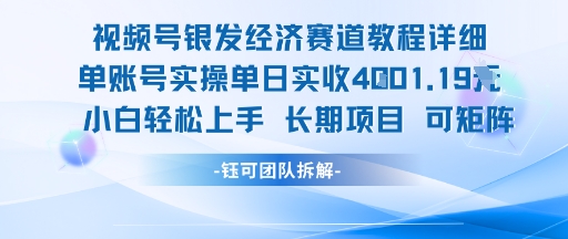 视频号银发经济赛道单账号实操单日实收1k+，小白轻松上手长期项目-DE云网创
