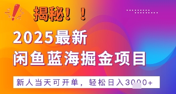 2025最新闲鱼蓝海掘金项目，新人当天可开单，轻松日入多张+的保姆级教程-DE云网创