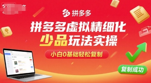 拼多多虚拟精细化少品玩法实操，小白0基础轻松复制-DE云网创