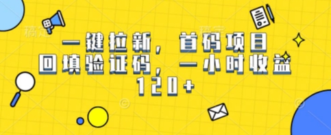 一键拉新，首码项目，回填验证码，一小时收益1张-DE云网创