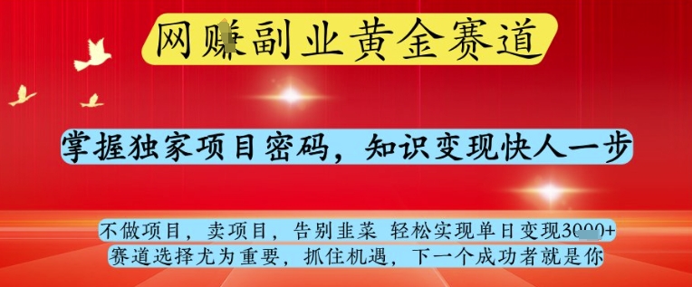 网创副业黄全赛道，掌握独家项目密码，知识变现快人一步，告别韭菜轻松实现单日变现1k+【揭秘】-DE云网创