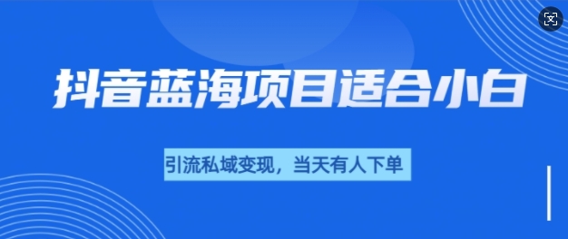 抖音蓝海小赛道私域变现项目，单价9.9单天变现100+，实操玩法分享给你-DE云网创