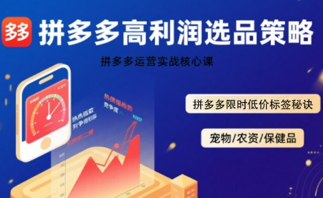 拼多多选品暴利技术实战课，拼多多高利润选品策略，拼多多限时低价标签秘诀-DE云网创