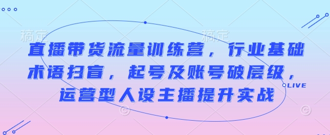 直播带货流量训练营，行业基础术语扫盲，起号及账号破层级，运营型人设主播提升实战-DE云网创