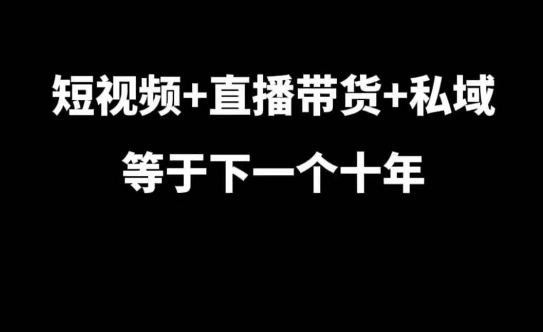 短视频+直播带货+私域等于下一个十年，大佬7年实战经验总结-DE云网创