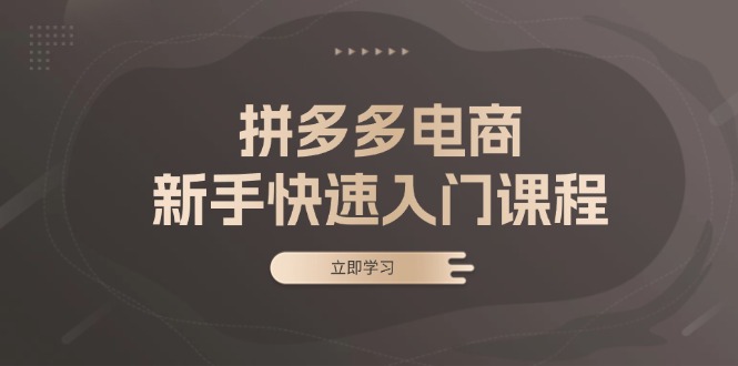 （13289期）拼多多电商新手快速入门课程：涵盖基础、实战与选款，助力小白轻松上手-DE云网创