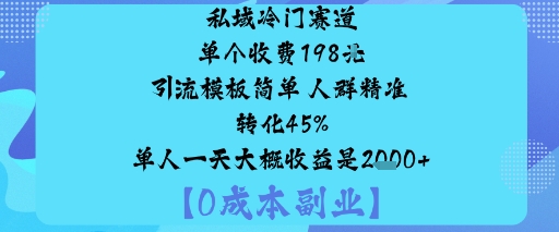 私域冷门赛道:单个收费198米引流模板简单人群精准转化45%单人一天大概收益是1k+-DE云网创