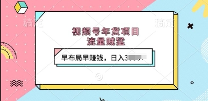视频号年货项目，流量贼猛，早布局早挣钱，日入上k【揭秘】-DE云网创
