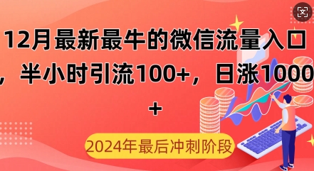 12月最新最牛的微信流量入口，半小时引流100+创业粉，日涨粉1000+-DE云网创